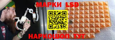 jwh Ирбит