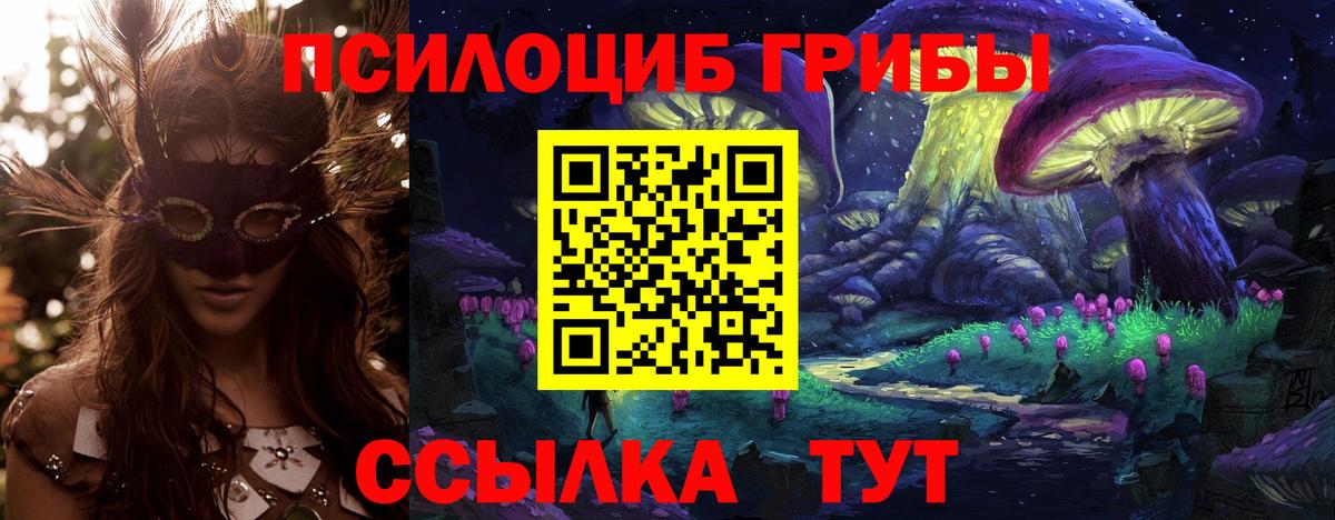 закладки  Вход с VPN  Геленджик  Псилоцибиновые грибы Magic Shrooms 
