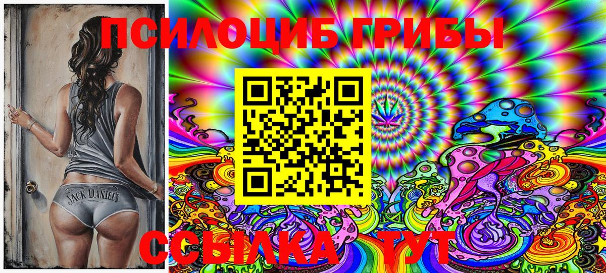 Галлюциногенные грибы Psilocybine cubensis Геленджик